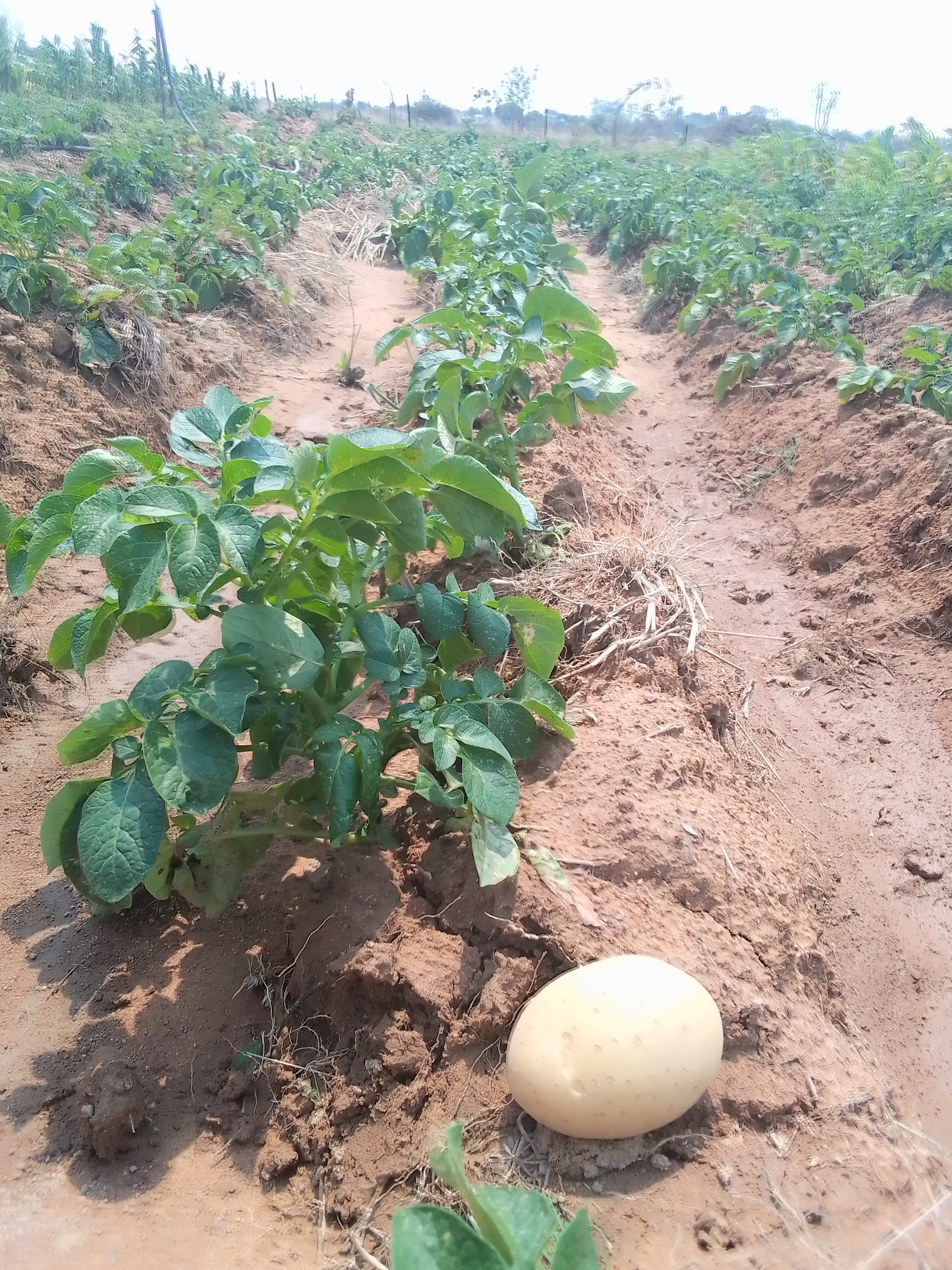 Mhakwe Caves in Wedza